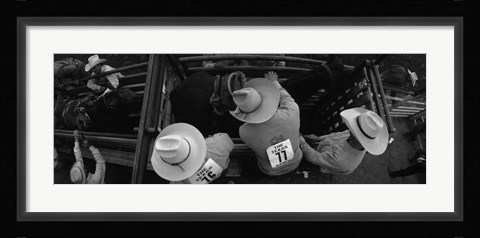 Framed High angle view of cowboys with horses at rodeo, Wichita Falls, Texas, USA Print