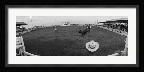Framed Cowboy riding bull at rodeo arena, Pecos, Texas, USA Print