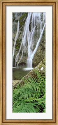 Framed Ferns and the Aber Falls, Abergwyngregyn, Gwynedd, Wales Print