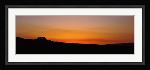 Framed Silhouette of a tree at dusk, Kirkcarrion, Middleton-In-Teesdale, County Durham, England Print