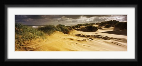 Framed Marram grass on the beach, Sands of Forvie, Newburgh, Aberdeenshire, Scotland Print