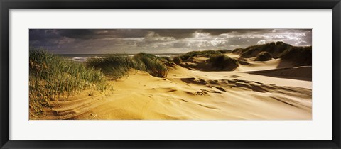 Framed Marram grass on the beach, Sands of Forvie, Newburgh, Aberdeenshire, Scotland Print