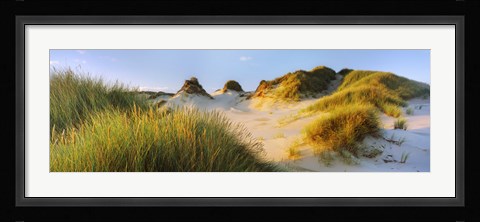 Framed Morning light on Forvie dunes, Newburgh, Aberdeenshire, Scotland Print
