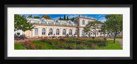Framed Garden outside a palace, Peterhof Grand Palace, St. Petersburg, Russia Print