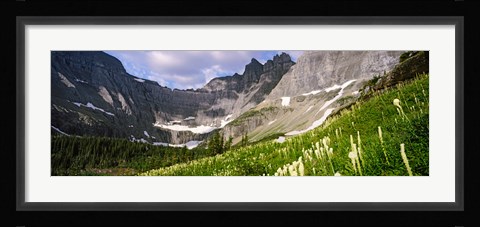 Framed Beargrass with mountains in the background, Montana Print