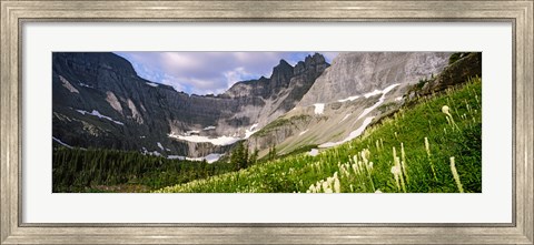 Framed Beargrass with mountains in the background, Montana Print