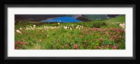 Framed Beargrass with Grinnell Lake in the background, Montana Print