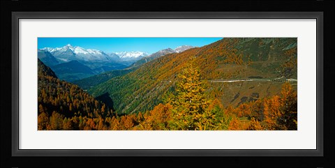 Framed Trees with road in autumn at Simplon Pass, Valais Canton, Switzerland Print