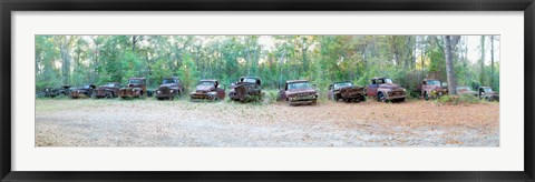 Framed Old rusty cars and trucks in a field, Crawfordville, Wakulla County, Florida, USA Print