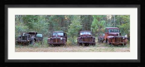 Framed Old rusty cars and trucks on Route 319, Crawfordville, Wakulla County, Florida, USA Print