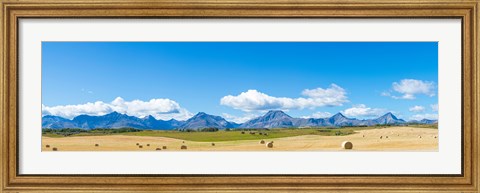 Framed Hay bales in a field with Canadian Rockies in the background, Alberta, Canada Print