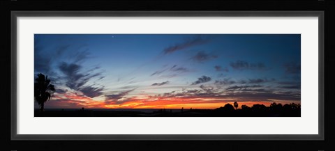 Framed Silhouette of trees at sunset, Todos Santos, Baja California, Mexico Print