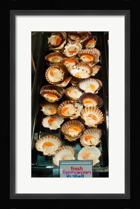 Framed Tasmanian oysters for sell in the Central Market, Adelaide, South Australia, Australia Print