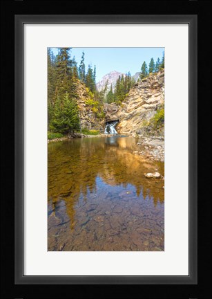 Framed Flowing stream in a forest, Banff National Park, Alberta, Canada Print