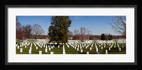 Framed Headstones in a cemetery, Arlington National Cemetery, Arlington, Virginia, USA Print