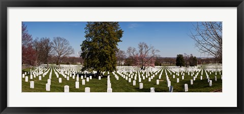 Framed Headstones in a cemetery, Arlington National Cemetery, Arlington, Virginia, USA Print