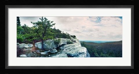 Framed Trees and boulders along the Gertrude's Nose, Minnewaska State Park, Catskill Mountains, New York State, USA Print