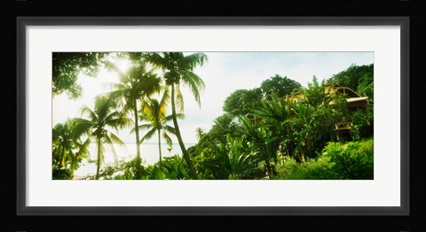 Framed Palm trees covering a small bungalow in Morro De Sao Paulo, Tinhare, Cairu, Bahia, Brazil Print