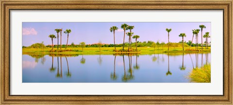 Framed Reflection of trees on water, Lake Worth, Palm Beach County, Florida, USA Print