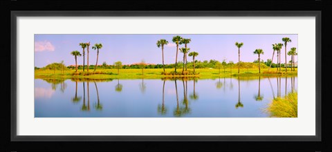 Framed Reflection of trees on water, Lake Worth, Palm Beach County, Florida, USA Print