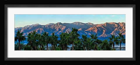Framed Palm trees with mountain range in the background, Furnace Creek Inn, Death Valley, Death Valley National Park, California, USA Print