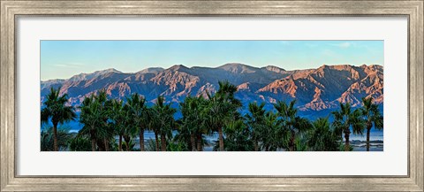 Framed Palm trees with mountain range in the background, Furnace Creek Inn, Death Valley, Death Valley National Park, California, USA Print