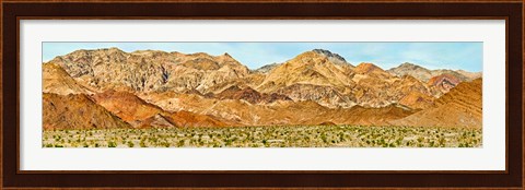 Framed Bushes in a desert with mountain range in the background, Death Valley, Death Valley National Park, California Print