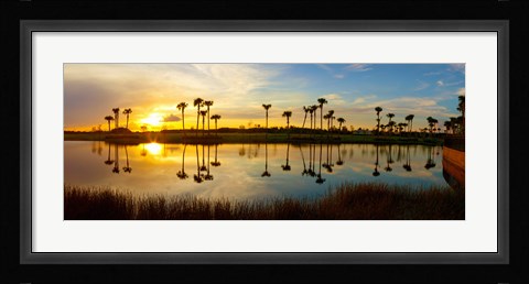 Framed Reflection of trees in water at sunset, Lake Worth, Palm Beach County, Florida, USA Print