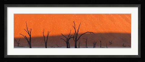Framed Dead trees in dry clay pan, Dead Vlei, Sossusvlei, Namib-Naukluft National Park, Namibia Print