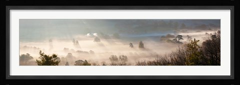 Framed Misty morning valley, Uley, Gloucestershire, England Print