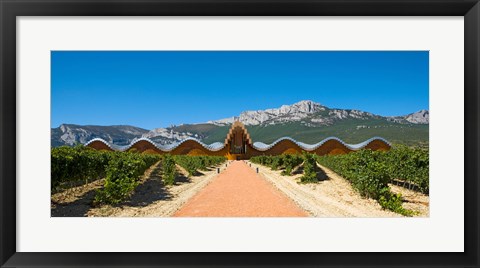 Framed Bodegas Ysios winery building and vineyard, La Rioja, Spain Print