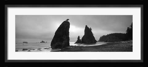 Framed Silhouette of seastacks at sunset, Olympic National Park, Washington State (black and white) Print