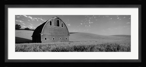 Framed Black and White view of Old barn in a wheat field, Washington State Print