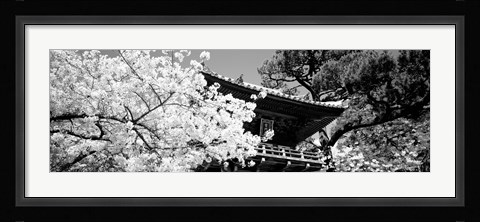 Framed Golden Gate Park, Japanese Tea Garden (black &amp; white) Print