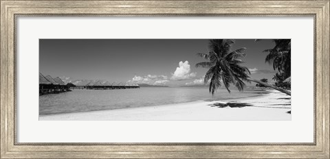 Framed Moana Beach (black and white), Bora Bora, Tahiti, French Polynesia Print
