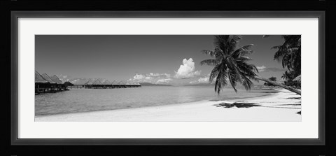 Framed Moana Beach (black and white), Bora Bora, Tahiti, French Polynesia Print