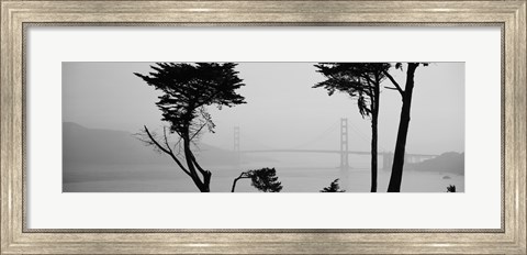 Framed Golden Gate Bridge Through the Fog (black &amp; white) Print