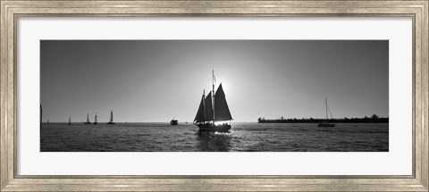 Framed Sailboat, Key West, Florida, USA Print