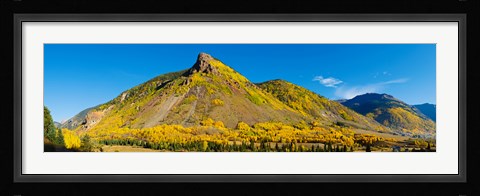 Framed Aspen trees on mountain, Anvil Mountain, Million Dollar Highway, Silverton, Colorado, USA Print
