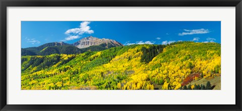 Framed Aspen trees with mountain in the background, Sunshine Peak, Uncompahgre National Forest, near Telluride, Colorado, USA Print