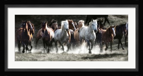 Framed Renegades Print