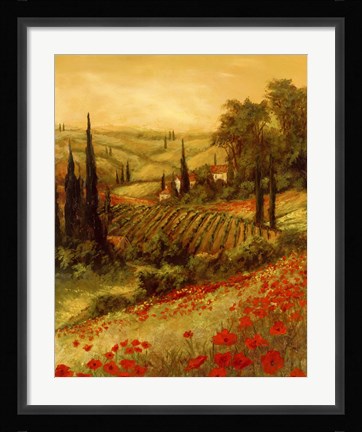 Framed Toscano Valley II Print