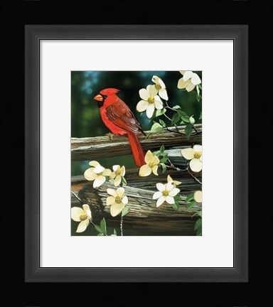 Framed Cardinal Print