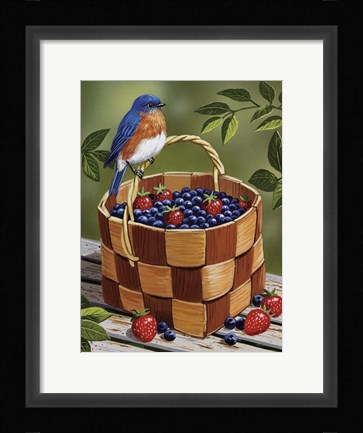 Framed Blueberry Basket Print