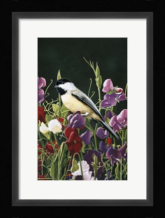 Framed Sweet Peas And Chickadee Print