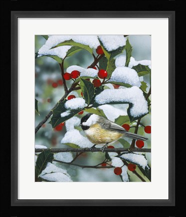 Framed Chickadees And Holly Branch Print