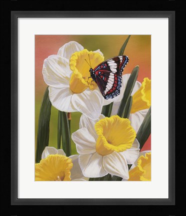 Framed Daffodils &amp; Butterfly Print