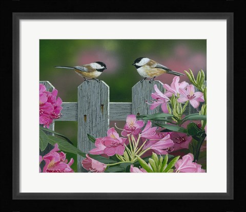 Framed Back Yard Chat Print