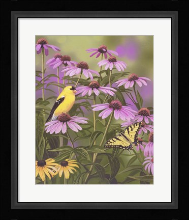 Framed Butterfly &amp; Finch Amongst Flowers Print