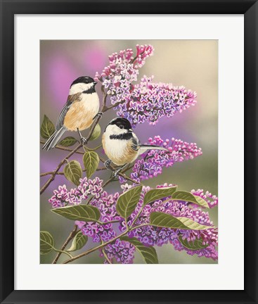 Framed Lilacs and Chickadees Print
